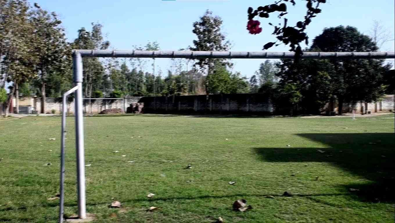 PLAY GROUND
